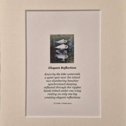 Nature Poems