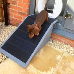 Ramp for Dog Flap Outdoor Ramp Non-Slip