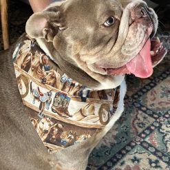 Pet bandana,  large other sizes available.