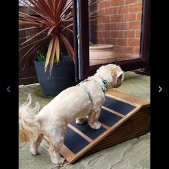16cms H x 40cms W x 50cms L base Outside Pet Ramp Non-Slip