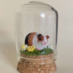 Sweet Miniature Guinea Pig Keepsake/Gift