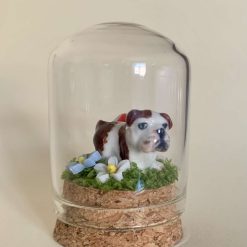 Adorable Miniature Bulldog Keepsake/Gift