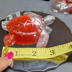 Cute little turtle.