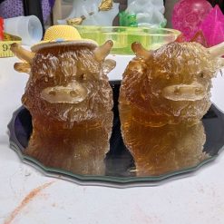 Highland cow pair