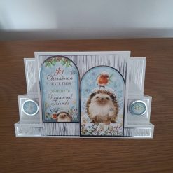 Hedgehog and Robin Christmas Cards
