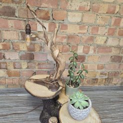 Rustic flowing wooden bedside lamp 7 Rustic flowing wooden bedside lamp 7