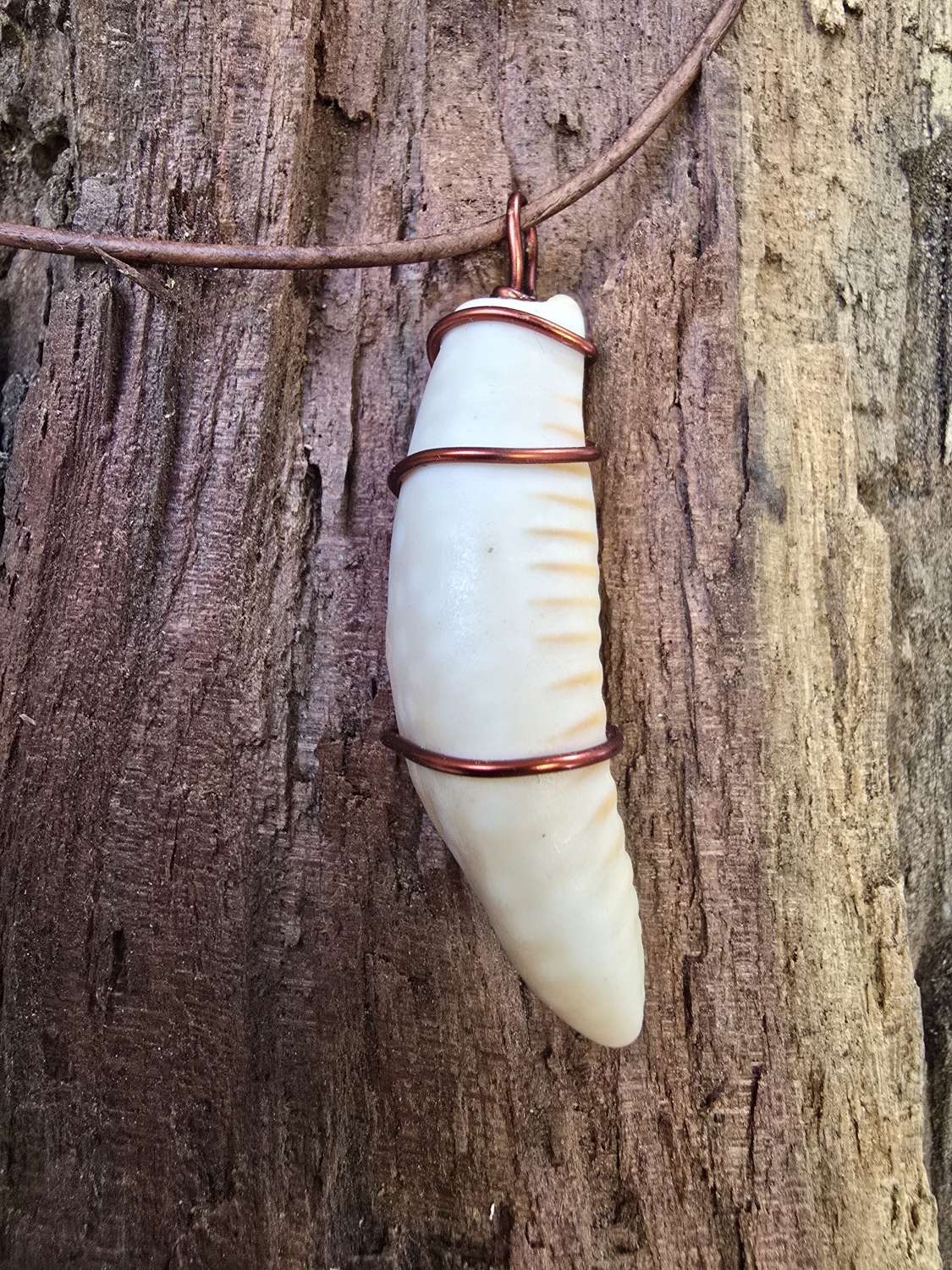 Copper Wrapped Shell Pendant/Necklace -Indiv.priced Copper Wrapped Shell Pendant/Necklace -Indiv.priced