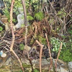 Hand carved walking sticks - Indiv.priced
