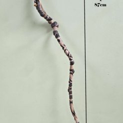 Hand carved walking sticks / Ceremonial staff - Indiv.Priced 8 Hand carved walking sticks / Ceremonial staff - Indiv.Priced 8