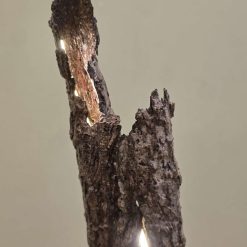 Tall Soft Glow Tree Bark Lamp 16