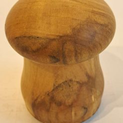 Mushroom Box/Caddy