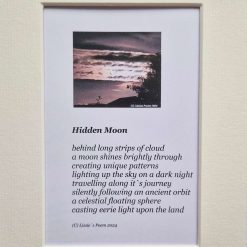 Moon Poems