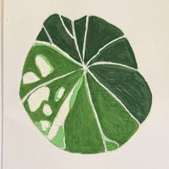Anthurium Silver Blush card hand painted artwork (Copy) (Copy)